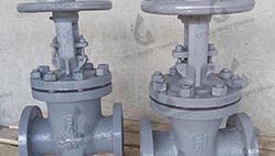 Задвижки 30с76нж