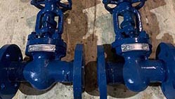 Задвижки 31лс41нж